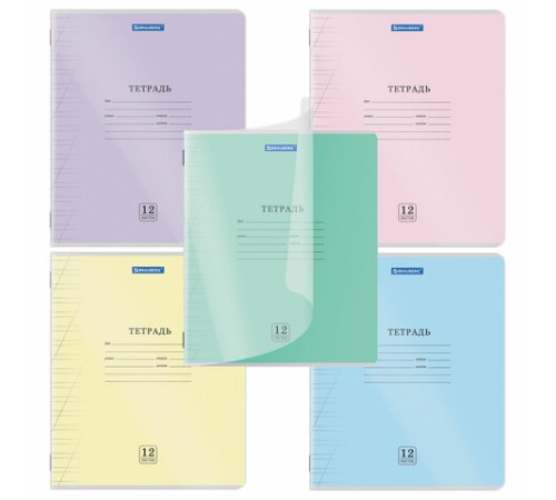 Тетрадь пластиковая обложка (прозрачная) 12 листов, косая линия, BRAUBERG 