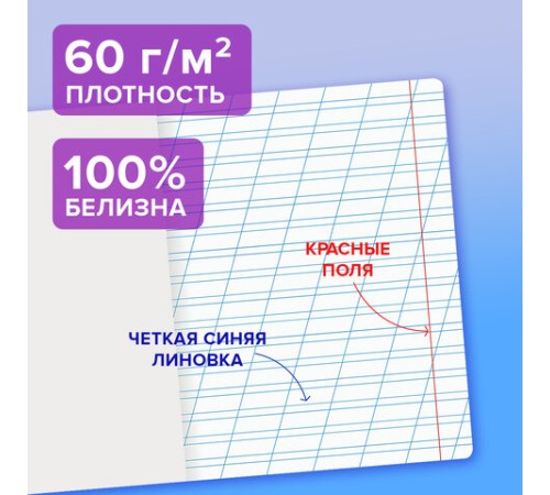 Тетрадь пластиковая обложка (прозрачная) 12 листов, косая линия, BRAUBERG 