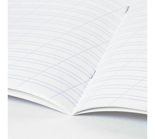 Тетрадь пластиковая обложка (прозрачная) 12 листов, косая линия, BRAUBERG 