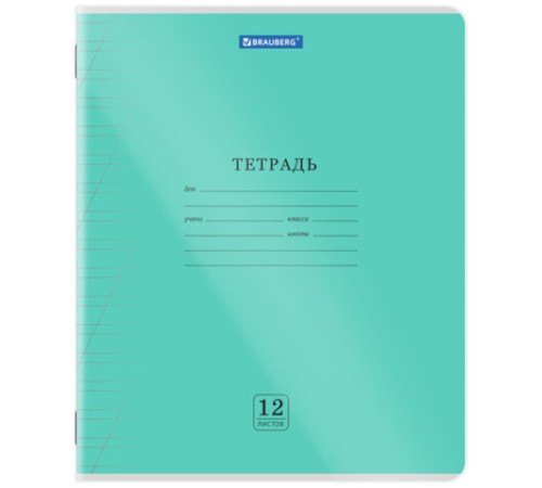 Тетрадь пластиковая обложка (прозрачная) 12 листов, косая линия, BRAUBERG 