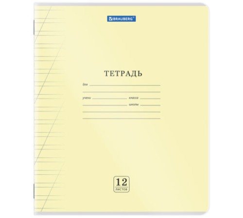 Тетрадь пластиковая обложка (прозрачная) 12 листов, косая линия, BRAUBERG 