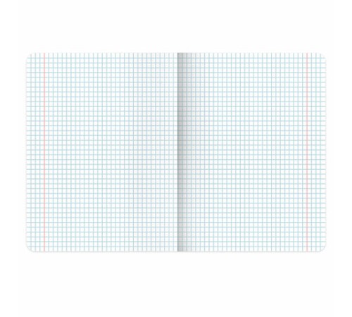 Тетрадь пластиковая обложка (прозрачная) 24 листа, клетка, BRAUBERG 