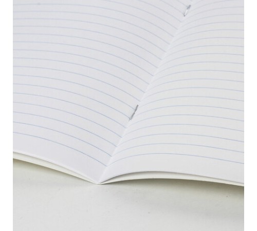 Тетрадь пластиковая обложка (прозрачная) 24 листа, линия, BRAUBERG 