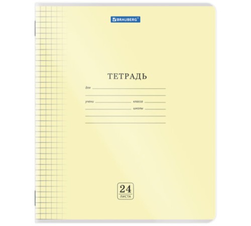 Тетрадь пластиковая обложка (прозрачная) 24 листа, клетка, BRAUBERG 