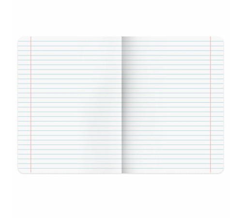 Тетрадь пластиковая обложка (прозрачная) 24 листа, линия, BRAUBERG 