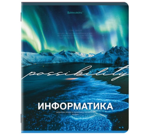 Тетрадь предметная КЛАССИКА ПРИРОДА 48 л., обложка картон, ИНФОРМАТИКА, клетка, подсказ, BRAUBERG, 405088