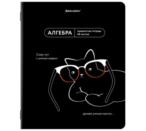 Тетрадь предметная МЕМЫ 48 л., TWIN-лак, АЛГЕБРА, клетка, подсказ, BRAUBERG, 405096