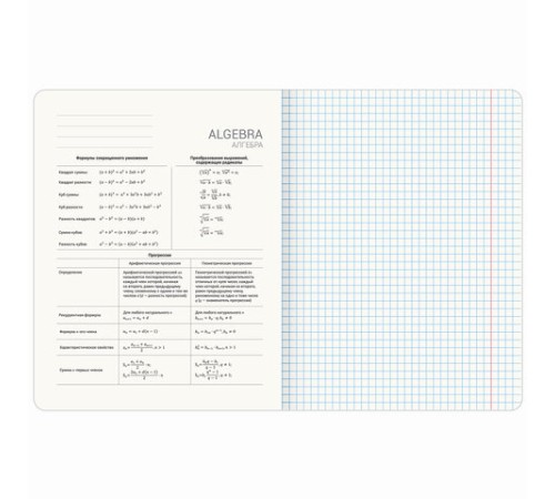 Тетрадь предметная МЕМЫ 48 л., TWIN-лак, АЛГЕБРА, клетка, подсказ, BRAUBERG, 405096