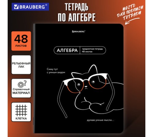 Тетрадь предметная МЕМЫ 48 л., TWIN-лак, АЛГЕБРА, клетка, подсказ, BRAUBERG, 405096