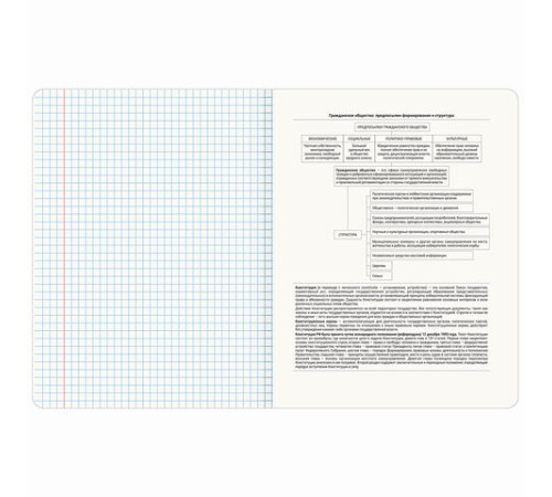 Тетрадь предметная МЕМЫ 48 л., TWIN-лак, ОБЩЕСТВОЗНАНИЕ, клетка, подсказ, BRAUBERG, 405097