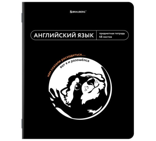 Тетрадь предметная МЕМЫ 48 л., TWIN-лак, АНГЛИЙСКИЙ ЯЗЫК, клетка, подсказ, BRAUBERG, 405098