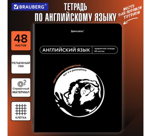 Тетрадь предметная МЕМЫ 48 л., TWIN-лак, АНГЛИЙСКИЙ ЯЗЫК, клетка, подсказ, BRAUBERG, 405098