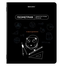 Тетрадь предметная МЕМЫ 48 л., TWIN-лак, ГЕОМЕТРИЯ, клетка, подсказ, BRAUBERG, 405101
