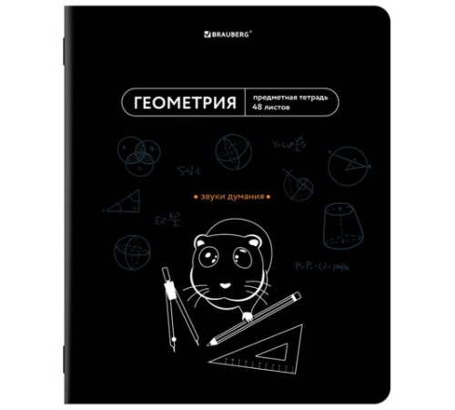 Тетрадь предметная МЕМЫ 48 л., TWIN-лак, ГЕОМЕТРИЯ, клетка, подсказ, BRAUBERG, 405101