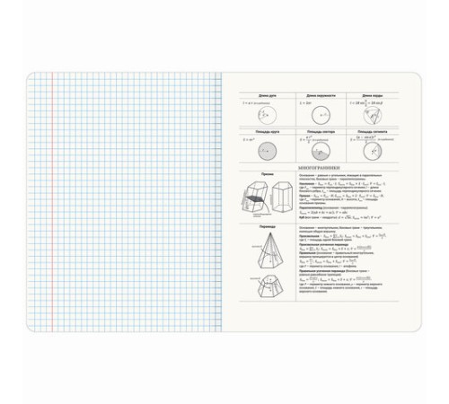 Тетрадь предметная МЕМЫ 48 л., TWIN-лак, ГЕОМЕТРИЯ, клетка, подсказ, BRAUBERG, 405101