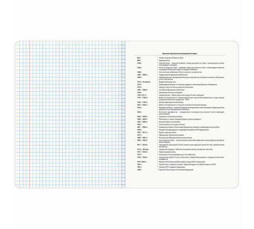 Тетрадь предметная МЕМЫ 48 л., TWIN-лак, ИСТОРИЯ, клетка, подсказ, BRAUBERG, 405103