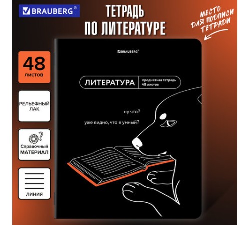 Тетрадь предметная МЕМЫ 48 л., TWIN-лак, ЛИТЕРАТУРА, линия, подсказ, BRAUBERG, 405104