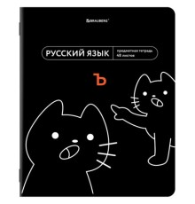 Тетрадь предметная МЕМЫ 48 л., TWIN-лак, РУССКИЙ ЯЗЫК, линия, подсказ, BRAUBERG, 405105
