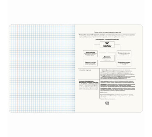 Тетрадь предметная МЕМЫ 48 л., TWIN-лак, ОБиЗР, клетка, подсказ, BRAUBERG, 405108