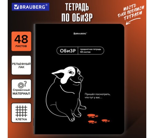 Тетрадь предметная МЕМЫ 48 л., TWIN-лак, ОБиЗР, клетка, подсказ, BRAUBERG, 405108