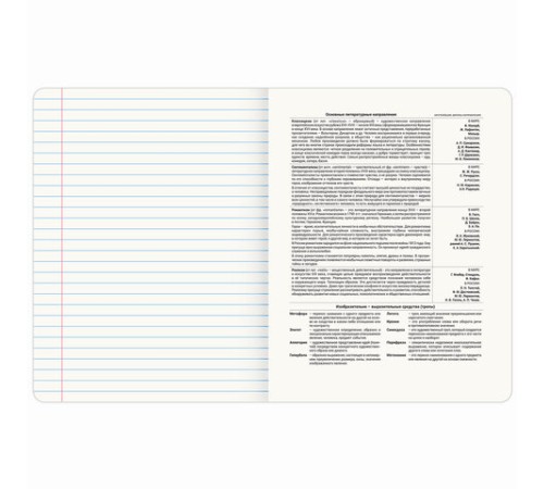 Тетрадь предметная CREATIVE 48 л., обложка картон, ЛИТЕРАТУРА, линия, подсказ, BRAUBERG, 405117