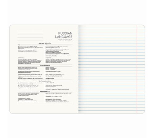 Тетрадь предметная CREATIVE 48 л., обложка картон, РУССКИЙ ЯЗЫК, линия, подсказ, BRAUBERG, 405118