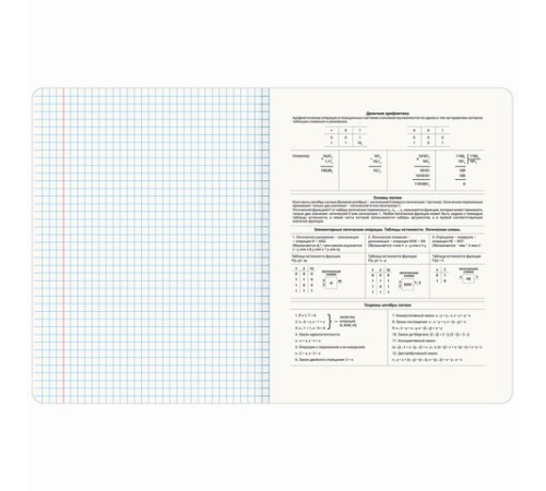 Тетрадь предметная ДАТЫ 48 л., TWIN-лак, ИНФОРМАТИКА, клетка, подсказ, BRAUBERG, 405128