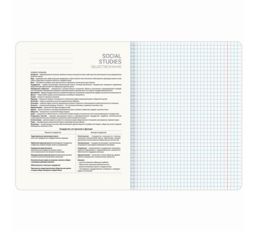 Тетрадь предметная CLASSIC 48 л., рельефный картон, матовая ламинация, ОБЩЕСТВО, клетка, подсказ, BRAUBERG, 405136