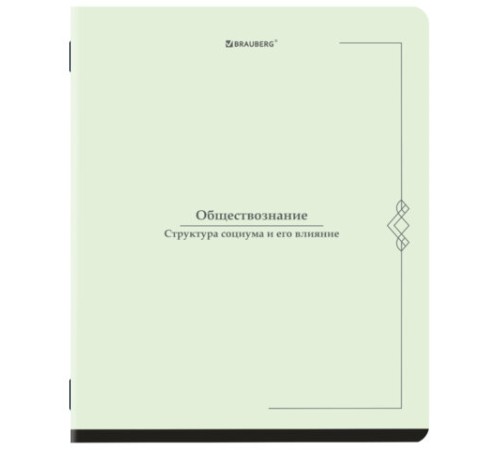 Тетрадь предметная VINTAGE 48 л., SoftTouch, ОБЩЕСТВОЗНАНИЕ, клетка, подсказ, BRAUBERG, 405149