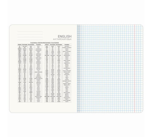 Тетрадь предметная VINTAGE 48 л., SoftTouch, АНГЛИЙСКИЙ ЯЗЫК, клетка, подсказ, BRAUBERG, 405150