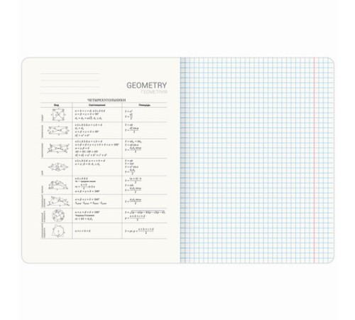 Тетрадь предметная VINTAGE 48 л., SoftTouch, ГЕОМЕТРИЯ, клетка, подсказ, BRAUBERG, 405153