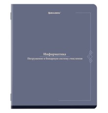 Тетрадь предметная VINTAGE 48 л., SoftTouch, ИНФОРМАТИКА, клетка, подсказ, BRAUBERG, 405154