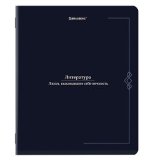 Тетрадь предметная VINTAGE 48 л., SoftTouch, ЛИТЕРАТУРА, линия, подсказ, BRAUBERG, 405156