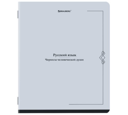 Тетрадь предметная VINTAGE 48 л., SoftTouch, РУССКИЙ ЯЗЫК, линия, подсказ, BRAUBERG, 405157