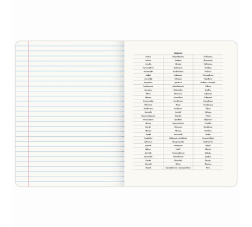 Тетрадь предметная VINTAGE 48 л., SoftTouch, РУССКИЙ ЯЗЫК, линия, подсказ, BRAUBERG, 405157