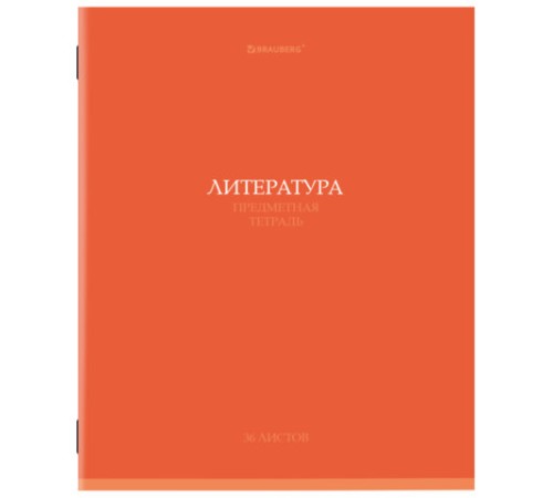 Тетради предметные, КОМПЛЕКТ 13 ПРЕДМЕТОВ, 36 л., обложка мелованная бумага, BRAUBERG, 