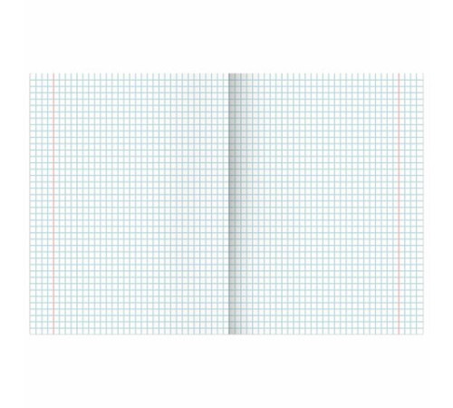 Тетради предметные, КОМПЛЕКТ 13 ПРЕДМЕТОВ, 36 л., обложка мелованная бумага, BRAUBERG, 