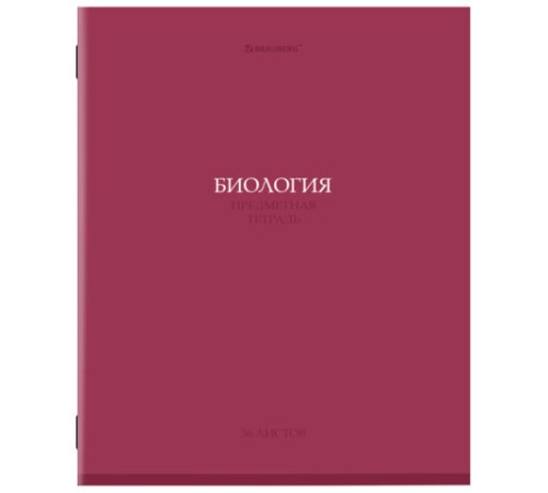 Тетради предметные, КОМПЛЕКТ 13 ПРЕДМЕТОВ, 36 л., обложка мелованная бумага, BRAUBERG, 