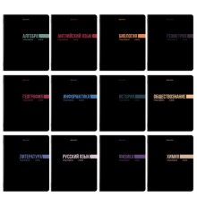 Тетради предметные, КОМПЛЕКТ 12 ПРЕДМЕТОВ, 48 л., обложка картон, BRAUBERG 