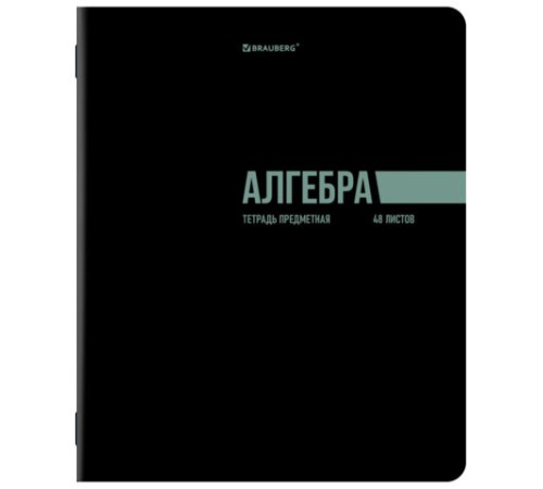 Тетради предметные, КОМПЛЕКТ 12 ПРЕДМЕТОВ, 48 л., обложка картон, BRAUBERG 