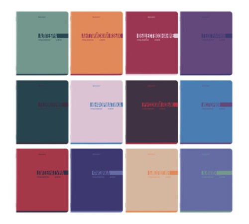 Тетради предметные, КОМПЛЕКТ 12 ПРЕДМЕТОВ, 48 л., обложка картон, BRAUBERG 