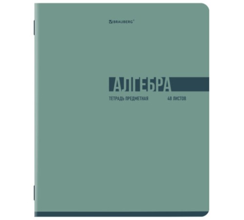 Тетради предметные, КОМПЛЕКТ 12 ПРЕДМЕТОВ, 48 л., обложка картон, BRAUBERG 