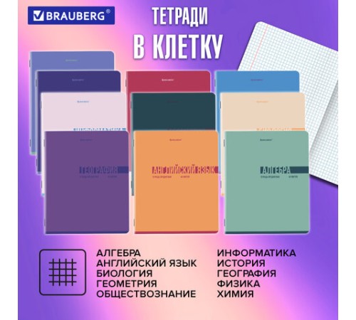 Тетради предметные, КОМПЛЕКТ 12 ПРЕДМЕТОВ, 48 л., обложка картон, BRAUBERG 
