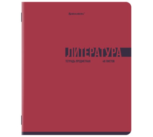 Тетради предметные, КОМПЛЕКТ 12 ПРЕДМЕТОВ, 48 л., обложка картон, BRAUBERG 