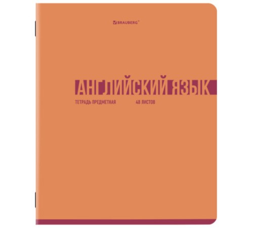 Тетради предметные, КОМПЛЕКТ 12 ПРЕДМЕТОВ, 48 л., обложка картон, BRAUBERG 