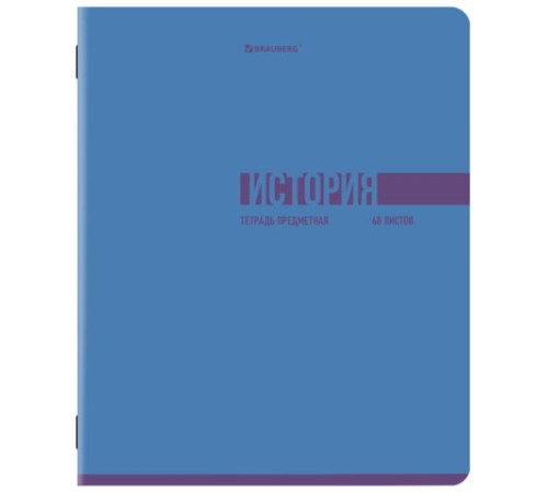 Тетради предметные, КОМПЛЕКТ 12 ПРЕДМЕТОВ, 48 л., обложка картон, BRAUBERG 
