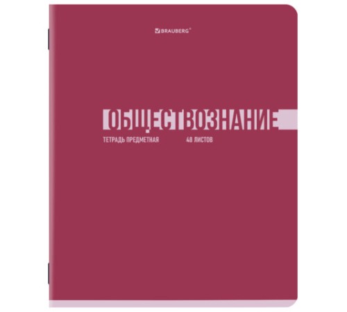 Тетради предметные, КОМПЛЕКТ 12 ПРЕДМЕТОВ, 48 л., обложка картон, BRAUBERG 