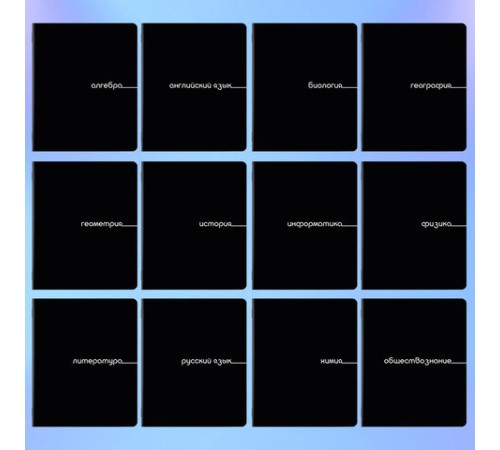 Тетради предметные, КОМПЛЕКТ 12 ПРЕДМЕТОВ, 48 л., обложка картон, BRAUBERG 