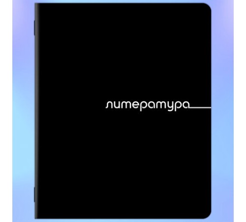 Тетради предметные, КОМПЛЕКТ 12 ПРЕДМЕТОВ, 48 л., обложка картон, BRAUBERG 