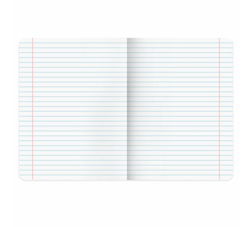 Тетради предметные, КОМПЛЕКТ 12 ПРЕДМЕТОВ, 48 л., обложка картон, BRAUBERG 